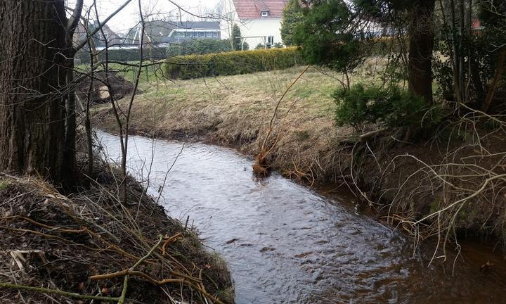 Zum Muehlenteich